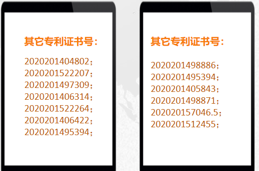 20210810-其它專(zhuān)業(yè)證書(shū)號(hào).png